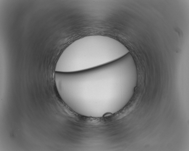 X0000111240624200907021000
