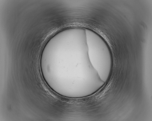 X0000111240625200907020959