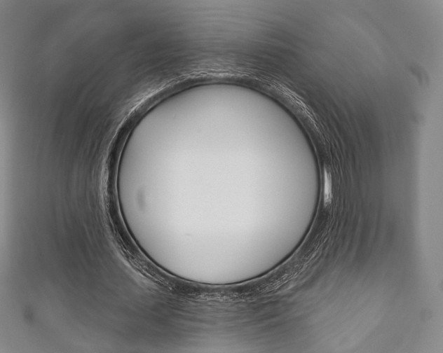 X0000111240627200907020959