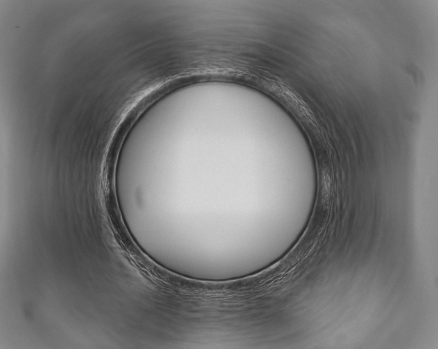 X0000111240628200907020959