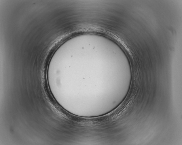 X0000111240629200907020959