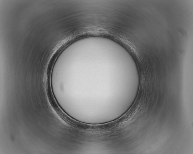 X0000111240630200907020959