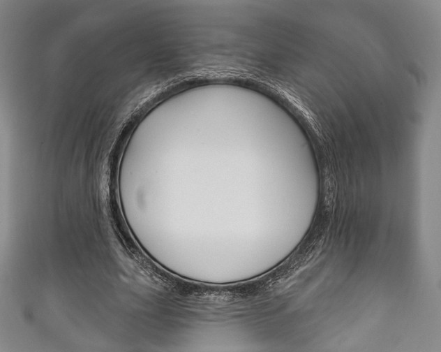 X0000111240631200907020959