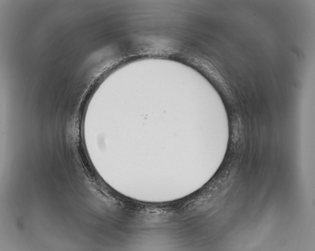 X0000111240632200907020959