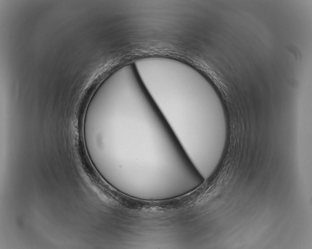 X0000111240634200907020959
