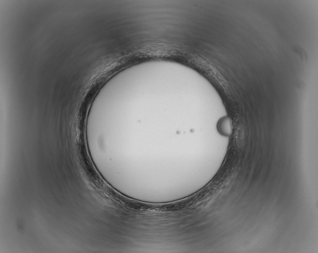 X0000111240635200907020959