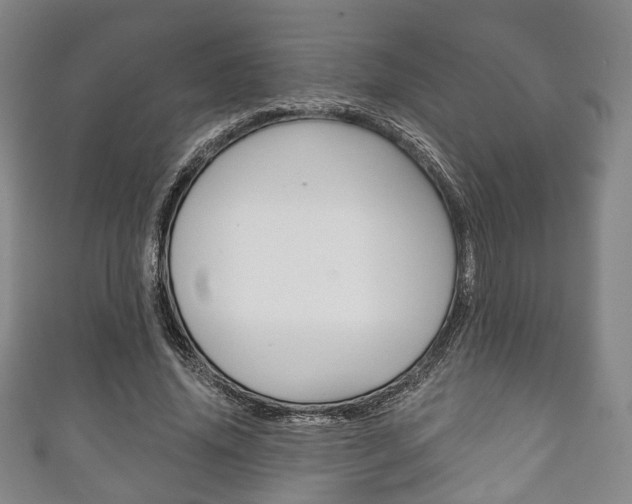 X0000111240636200907020959