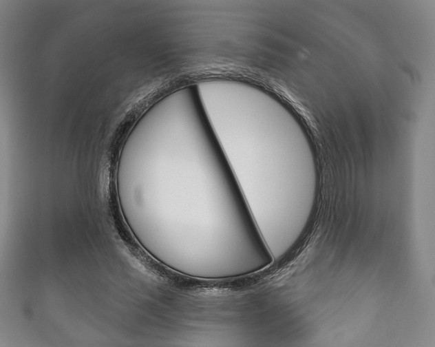 X0000111240637200907020959