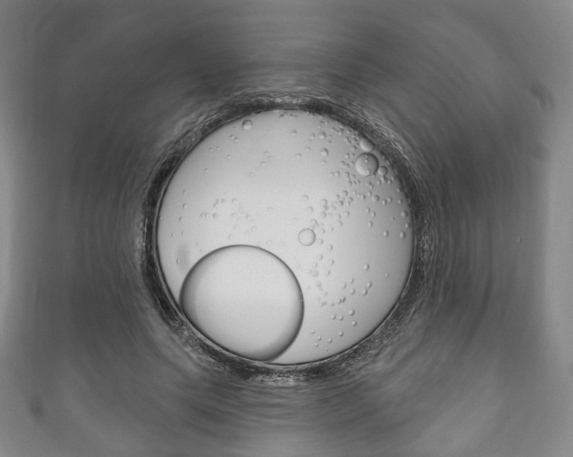 X0000111240639200907020959