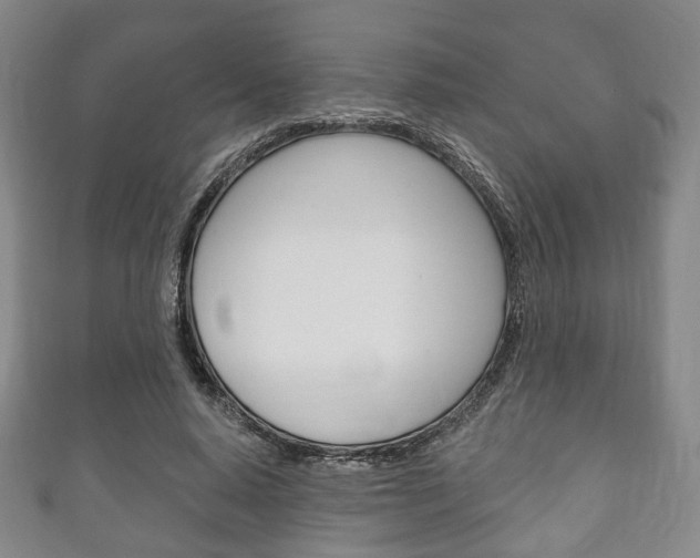 X0000111240640200907021000