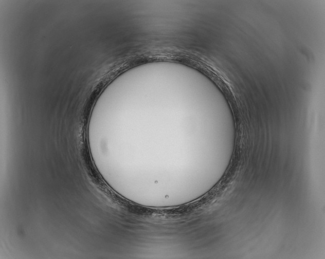 X0000111240641200907021000