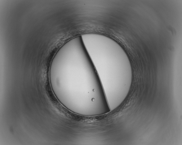 X0000111240642200907021000