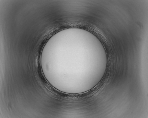 X0000111240644200907021000