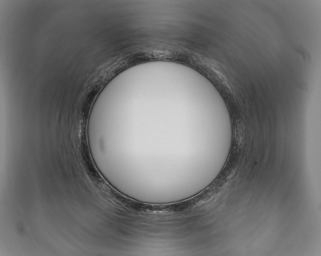 X0000111240645200907021000