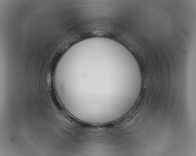 X0000111240646200907021000