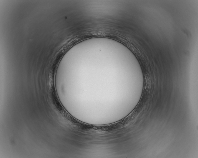 X0000111240648200907021000