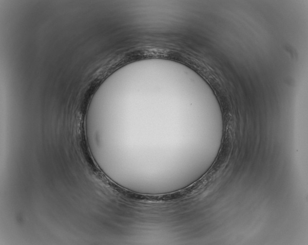 X0000111240649200907021000