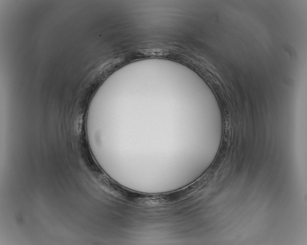 X0000111240652200907021000
