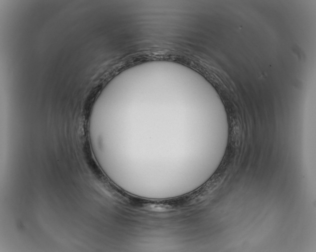 X0000111240654200907021000