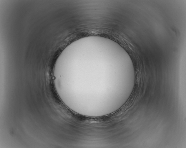 X0000111240655200907021000