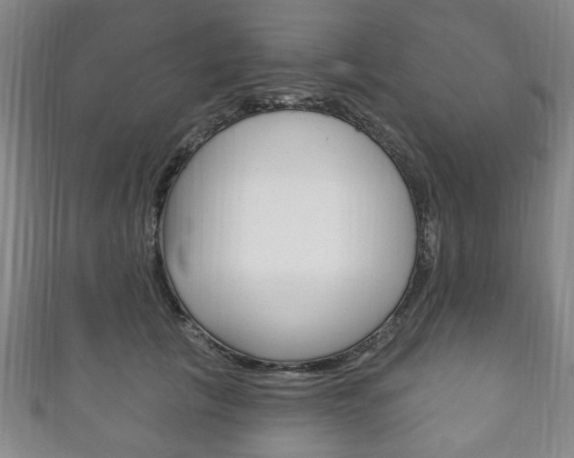 X0000111240657200907021000
