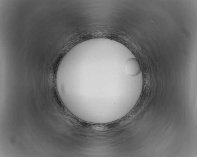 X0000111240659200907021000