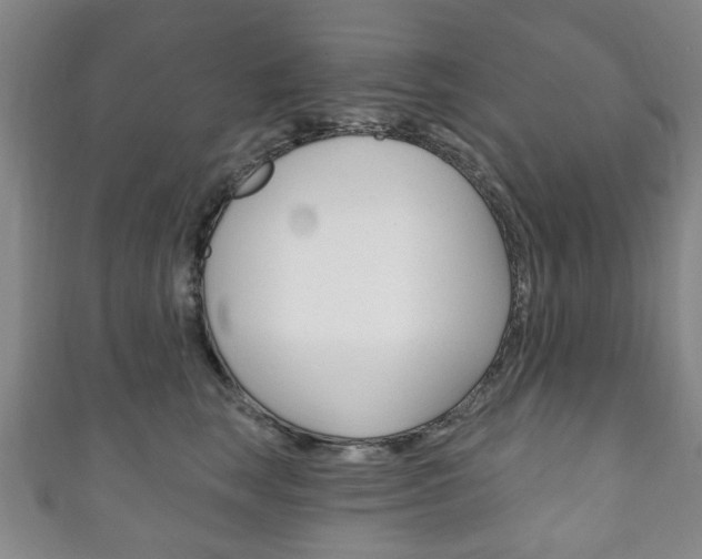 X0000111240663200907021000