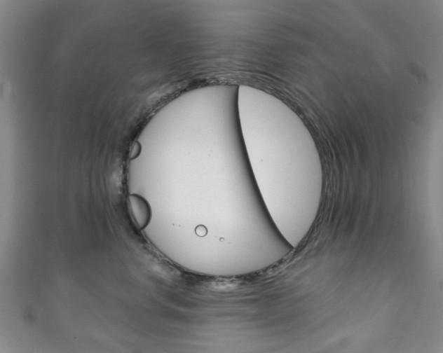 X0000111240668200907021000