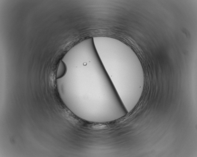 X0000111240669200907021000