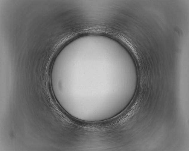 X0000111240673200907020959