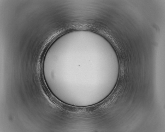 X0000111240674200907020959