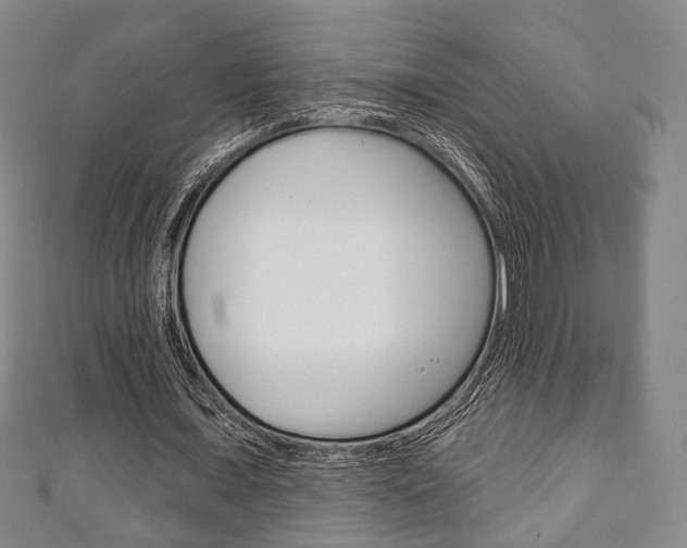 X0000111240675200907020959