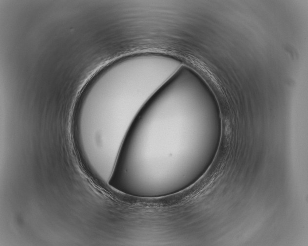X0000111240676200907020959