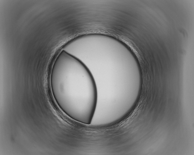 X0000111240677200907020959