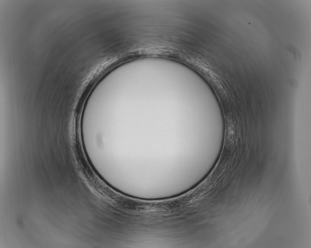 X0000111240678200907020959
