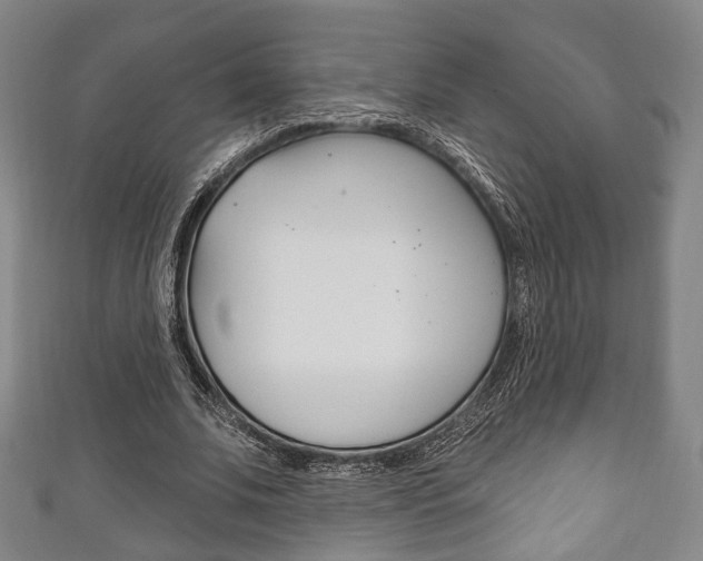 X0000111240679200907020959