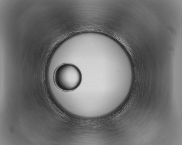 X0000111240681200907020959