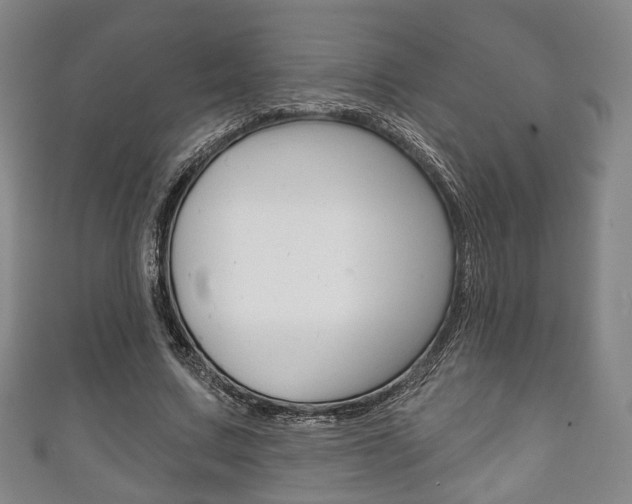 X0000111240683200907020959