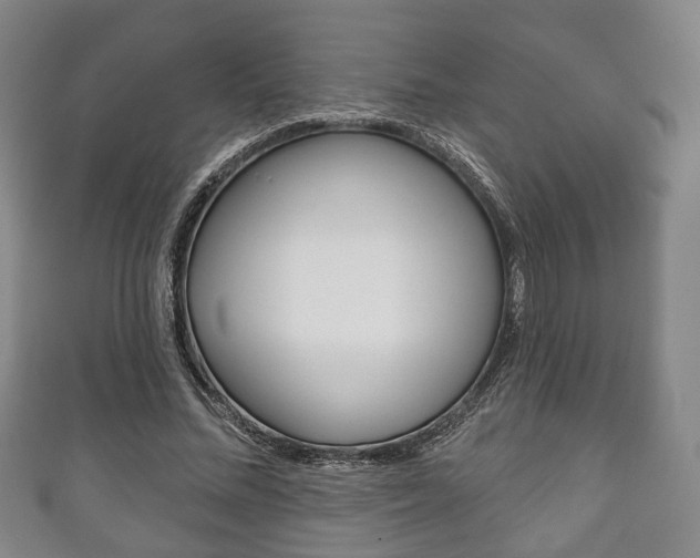 X0000111240684200907020959