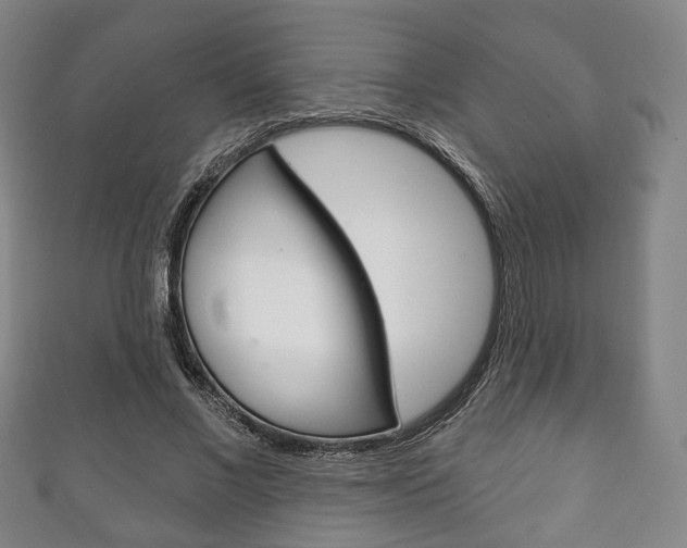 X0000111240685200907020959