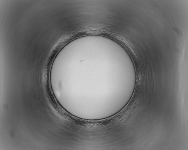 X0000111240686200907020959
