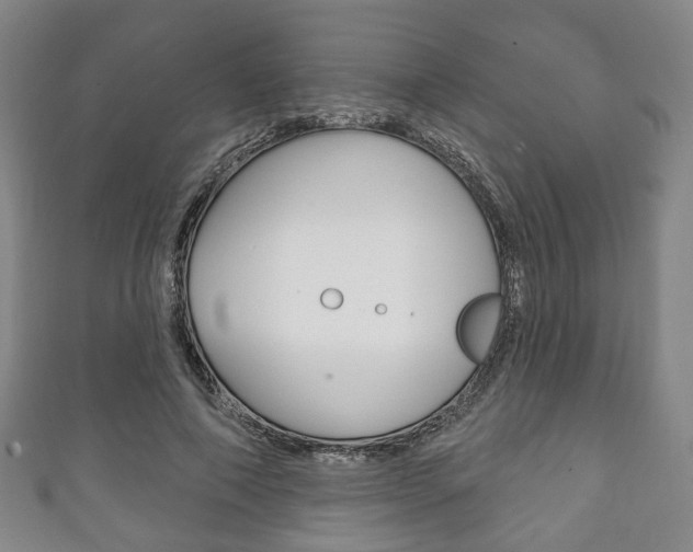 X0000111240690200907020959