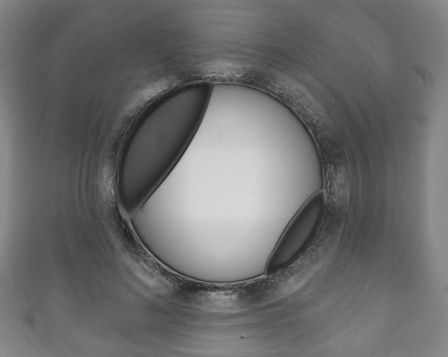 X0000111240692200907020959