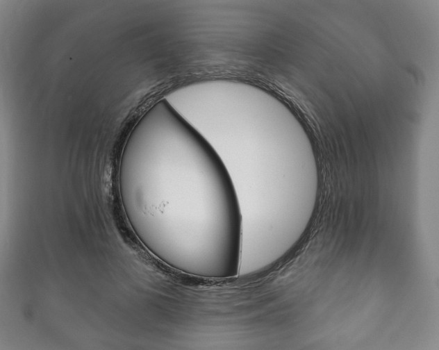 X0000111240693200907020959