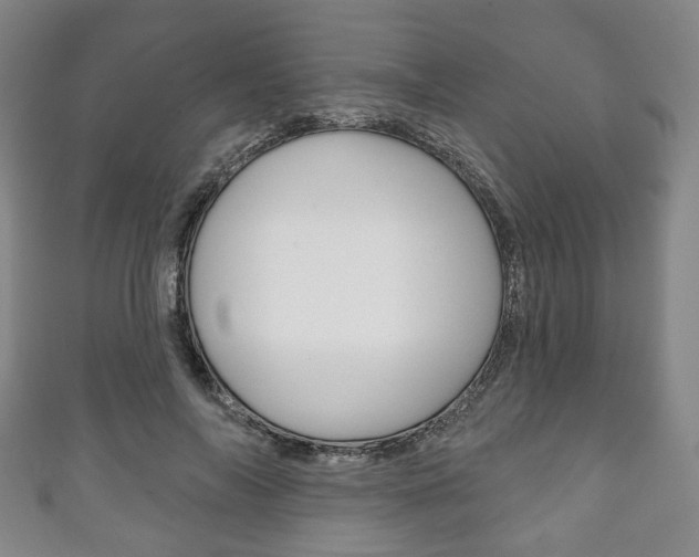 X0000111240694200907020959