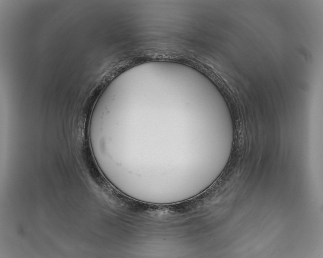 X0000111240695200907020959