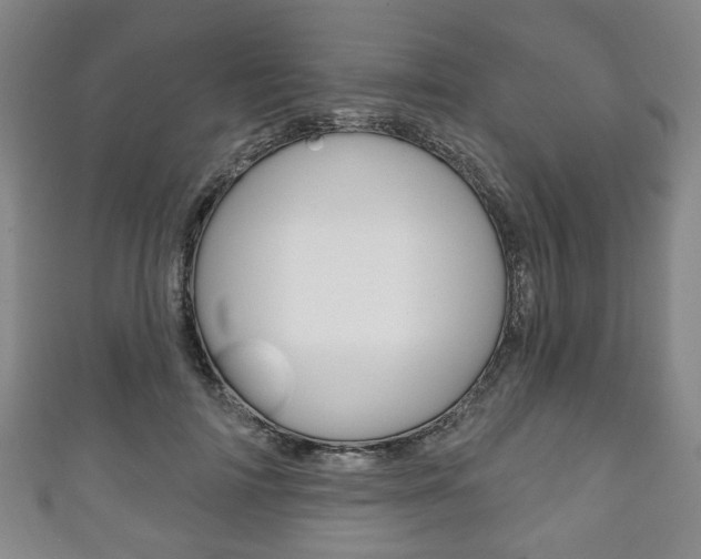 X0000111240698200907020959