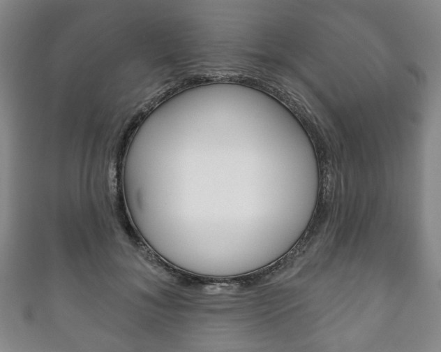 X0000111240700200907020959