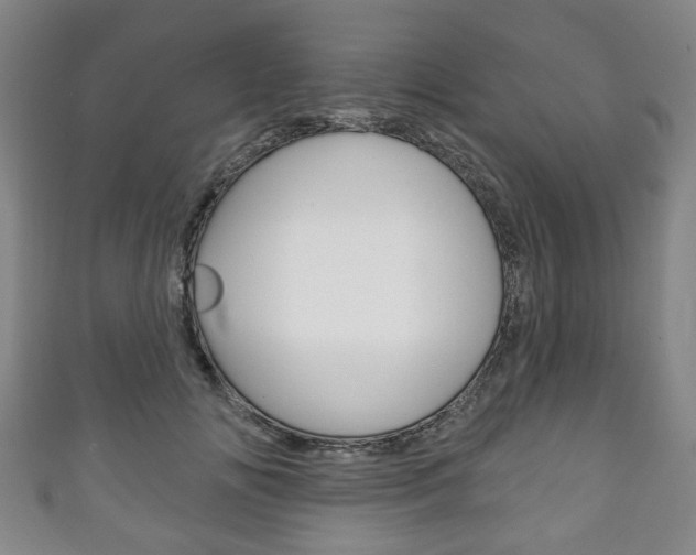 X0000111240702200907020959