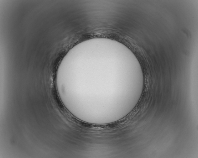X0000111240703200907020959